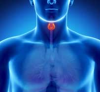 Thyroid Hormone Replacement Therapy in Johnson City, TN