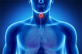 Thyroid Hormone Replacement Therapy in Johnson City, TN